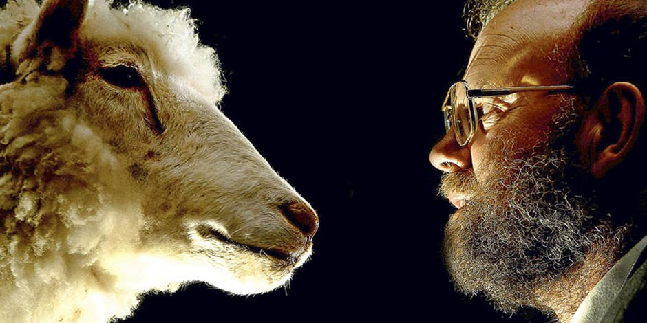 La oveja Dolly primer animal clonado