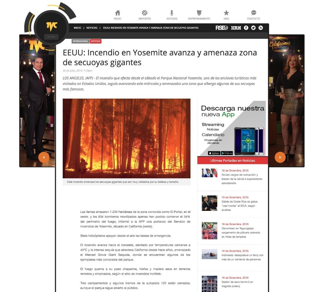 incendio forestal